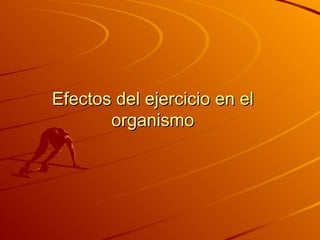 Efectos del ejercicio en el organismo 