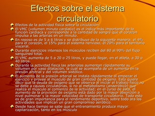 Efectos sobre el sistema circulatorio Efectos de la actividad física sobre la circulación:  El VMC (volumen minuto cardíaco) es el índice más importante de la función cardiaca y corresponde a la cantidad de sangre que el corazón impulsa a las arterias en un minuto.  En reposo es de 5 a 6 litros y se distribuye de la siguiente manera: el 4% para el corazón, el 15% para el sistema nervioso, el 20% para el territorio visceral. Durante ejercicios intensos los músculos reciben del 80 al 90% del flujo sanguíneo total. El VMC aumenta de 5 a 20 o 25 litros, y puede llegar, en el atleta, a 30 o 40 litros. Durante la actividad física las arteriolas aumentan rápidamente su volumen por vaso dilatación, la cual se acompaña de un aumento en la presión arterial y del volumen sistólico.  El aumento de la presión arterial se instala rápidamente al empezar el ejercicio y provee al músculo de gran cantidad de oxígeno. Esto quiere decir que la deuda de oxígeno que se observa al iniciar el trabajo físico no se debe a causas circulatorias, si no al metabolismo (anaeróbico) que realiza el músculo al comienzo de la actividad; en el curso de ésta, el aumento de la provisión de oxígeno está dado por la mayor absorción a nivel pulmonar y la mayor velocidad de transporte circulatorio. Todo esto es de gran importancia para el rendimiento deportivo, sobre todo ara las actividades que implican un gran compromiso aeróbico.  Desde hace tiempo se sabe que el entrenamiento produce mayor capilarización, tanto en los músculo 