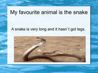 My favourite animal is the snake
A snake is very long and it hasn´t got legs.

 