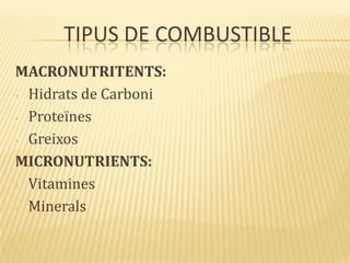 TIPUS DE COMBUSTIBLE
MACRONUTRITENTS:
- Hidrats de Carboni
- Proteïnes
- Greixos
MICRONUTRIENTS:
- Vitamines
- Minerals
 
