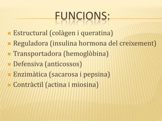 FUNCIONS:
 Estructural (colàgen i queratina)
 Reguladora (insulina hormona del creixement)
 Transportadora (hemoglòbina)
 Defensiva (anticossos)
 Enzimàtica (sacarosa i pepsina)
 Contràctil (actina i miosina)
 
