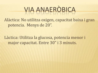 VIA ANAERÒBICA
Alàctica: No utilitza oxigen, capacitat baixa i gran
potencia. Menys de 20”.
Làctica: Utilitza la glucosa, potencia menor i
major capacitat. Entre 30” i 3 minuts.
 