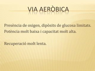 VIA AERÒBICA
Presència de oxigen, dipòsits de glucosa limitats.
Potència molt baixa i capacitat molt alta.
Recuperació molt lenta.
 