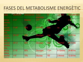 FASES DEL METABOLISME ENERGÈTIC
 