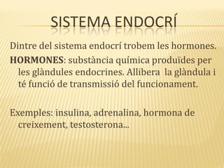 SISTEMA ENDOCRÍ
Dintre del sistema endocrí trobem les hormones.
HORMONES: substància química produïdes per
les glàndules endocrines. Allibera la glàndula i
té funció de transmissió del funcionament.
Exemples: insulina, adrenalina, hormona de
creixement, testosterona...
 
