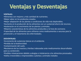 VENTAJAS:
•Alimentos con mejores y más cantidad de nutrientes.
•Mejor sabor en los productos creados.
•Mejor adaptación de las plantas a condiciones de vida más deplorables.
•Aumento en la producción de los alimentos con un sustancial ahorro de recursos.
•Aceleración en el crecimiento de las plantas y animales.
•Mejores características de los alimentos producidos a la hora de cocinarse.
•Capacidad de los alimentos para utilizarse como medicamentos o vacunas para la
prevención y el tratamiento de enfermedades.
DESVENTAJAS:
•Incremento de sustancias tóxicas en el ambiente.
•Perdida de la biodiversidad.
•Contaminación del suelo.
•Resistencia de los insectos y hierbas indeseadas ante medicamentos desarrollados
para su contención.
•Posibles intoxicaciones debido a alergias o intolerancia a los alimentos procesados.
•Daños irreversibles e imprevesibles a plantas y animales tratados
 