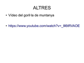ALTRES
● Vídeo del goril·la de muntanya
● https://www.youtube.com/watch?v=_lll6tRVAOE
 