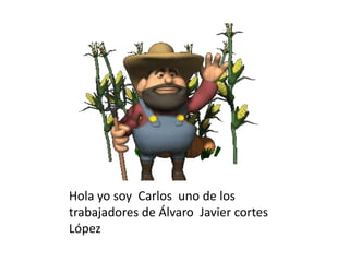 Hola yo soy  Carlos  uno de los trabajadores de Álvaro  Javier cortes  López 