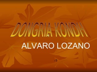 ALVARO LOZANO -1 