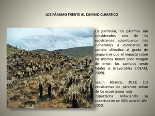 LOS PÁRAMO FRENTE AL CAMBIO CLIMATICO 
En particular, los páramos son 
considerados uno de los 
ecosistemas colombianos más 
vulnerables a escenarios de 
cambio climático al grado de 
asegurarse que el impacto sobre 
los mismos tienen poco margen 
de error: los cambios serán 
fatales e irreversibles (IDEAM, 
2009). 
Según (Blanco, 2013) Los 
ecosistemas de páramos serían 
de los ecosistemas más 
impactados reduciendo su 
cobertura en un 60% para el año 
2050. 
 