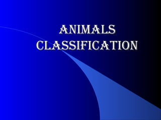 ANIMALS
CLASSIFICATION
 