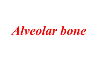 Alveolar bone
 