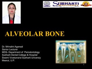 1
ALVEOLAR BONE
Dr. Mrinalini Agarwal
Senior Lecturer
MDS- Department of Periodontology
Subharti Dental College & Hospital
Swami Vivekanand Subharti Universiy
Meerut, U.P.
 