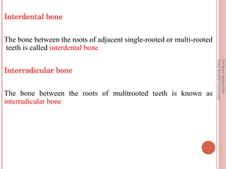 Alveolar Bone | PPT