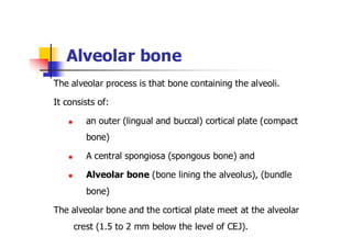 Alveolar bone | PDF