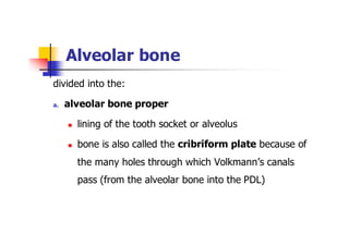 Alveolar bone | PDF