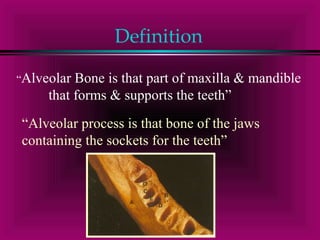 Definition 
“Alveolar Bone is that part of maxilla & mandible 
that forms & supports the teeth” 
“Alveolar process is that bone of the jaws 
containing the sockets for the teeth” 
 