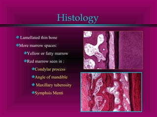 Histology 
Lamellated thin bone 
More marrow spaces: 
Yellow or fatty marrow 
Red marrow seen in : 
Condylar process 
Angle of mandible 
Maxillary tuberosity 
Symphsis Menti 
 