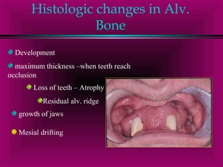 Histologic changes in Alv. 
Bone 
Development 
maximum thickness –when teeth reach 
occlusion 
Loss of teeth – Atrophy 
Residual alv. ridge 
growth of jaws 
Mesial drifting 
 