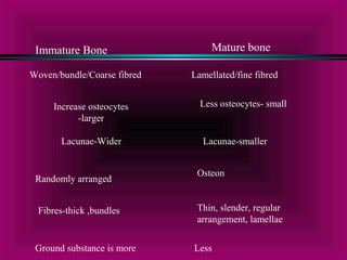 Immature Bone Mature bone 
Woven/bundle/Coarse fibred Lamellated/fine fibred 
Increase osteocytes 
-larger 
Less osteocytes- small 
Lacunae-Wider Lacunae-smaller 
Randomly arranged Osteon 
Fibres-thick ,bundles Thin, slender, regular 
arrangement, lamellae 
Ground substance is more Less 
 