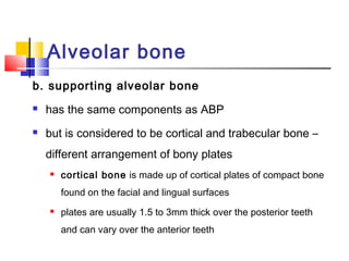 Alveolar bone | PPT