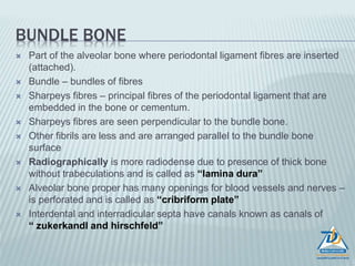 STRUCTURE OF ALVEOLAR BONE
ALVEOLAR
BONE
ALVEOLAR
BONE
PROPER
LAMELLATED
BONE
BUNDLE
BONE
SUPPORTING
ALVEOLAR
BONE
CORTICAL
PLATE
SPONGY
BONE
 