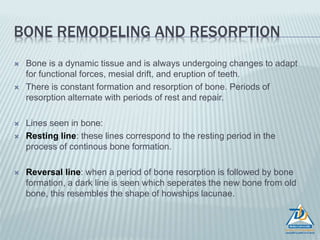 Spongy bone
Spongy bone
 