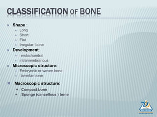 CLASSIFICATION OF BONE
 Shape :
 Long
 Short
 Flat
 Irregular bone
 Development:
 endochondral
 intramembranous
 Microscopic structure:
 Embryonic or woven bone
 lamellar bone
 Macroscopic structure:
+ Compact bone
+ Sponge (cancellous ) bone
 
