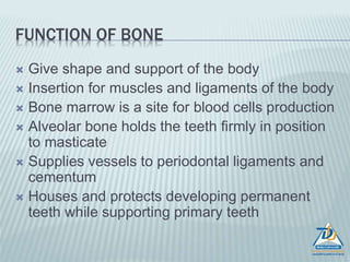 FUNCTION OF BONE
 Give shape and support of the body
 Insertion for muscles and ligaments of the body
 Bone marrow is a site for blood cells production
 Alveolar bone holds the teeth firmly in position
to masticate
 Supplies vessels to periodontal ligaments and
cementum
 Houses and protects developing permanent
teeth while supporting primary teeth
 