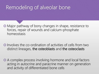 Remodeling of alveolar bone
 Major pathway of bony changes in shape, resistance to
forces, repair of wounds and calcium-phosphate
homeostasis
 Involves the co-ordination of activities of cells from two
distinct lineages, the osteoblasts and the osteoclasts
 A complex process involving hormone and local factors
acting in autocrine and paracrine manner on generation
and activity of differentiated bone cells
 