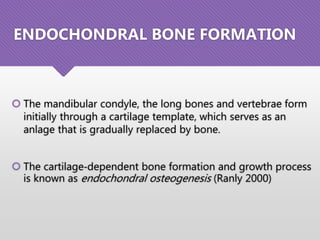ENDOCHONDRAL BONE FORMATION
 The mandibular condyle, the long bones and vertebrae form
initially through a cartilage template, which serves as an
anlage that is gradually replaced by bone.
 The cartilage‐dependent bone formation and growth process
is known as endochondral osteogenesis (Ranly 2000)
 