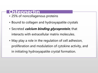 • 25% of noncollagenous proteins
• Bound to collagen and hydroxyapatite crystals
• Secreted calcium binding glycoprotein, that
interacts with extracellular matrix molecules.
• May play a role in the regulation of cell adhesion,
proliferation and modulation of cytokine activity, and
in initiating hydroxyapatite crystal formation.
Osteonectin
 