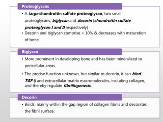 • A large chondroitin sulfate proteoglycan, two small
proteoglycans, biglycan and decorin (chondroitin sulfate
proteoglycan I and II respectively)
• Decorin and biglycan comprise < 10% & decreases with maturation
of bone.
Proteoglycans
• More prominent in developing bone and has been mineralized to
pericellular areas.
• The precise function unknown, but similar to decorin, it can bind
TGF-β and extracellular matrix macromolecules, including collagen,
and thereby regulate fibrillogenesis.
Biglycan
• Binds mainly within the gap region of collagen fibrils and decorates
the fibril surface.
Decorin
 