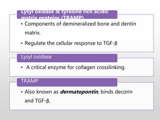 • Components of demineralized bone and dentin
matrix.
• Regulate the cellular response to TGF-β
Lysyl oxidase & tyrosine rich acidic
matrix proteins (TRAMP)
• A critical enzyme for collagen crosslinking.
Lysyl oxidase
• Also known as dermatopontin, binds decorin
and TGF-β,
TRAMP
 