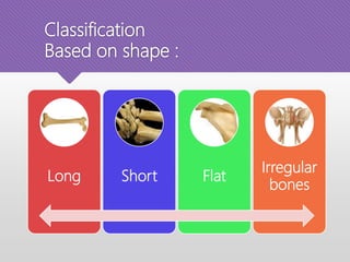 Classification
Based on shape :
Long Short Flat
Irregular
bones
 