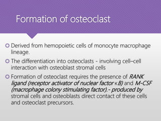 Formation of osteoclast
 Derived from hemopoietic cells of monocyte macrophage
lineage.
 The differentiation into osteoclasts - involving cell–cell
interaction with osteoblast stromal cells
 Formation of osteoclast requires the presence of RANK
ligand (receptor activator of nuclear factor κB) and M-CSF
(macrophage colony stimulating factor).- produced by
stromal cells and osteoblasts direct contact of these cells
and osteoclast precursors.
 