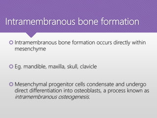Intramembranous bone formation
 Intramembranous bone formation occurs directly within
mesenchyme
 Eg. mandible, maxilla, skull, clavicle
 Mesenchymal progenitor cells condensate and undergo
direct differentiation into osteoblasts, a process known as
intramembranous osteogenesis.
 