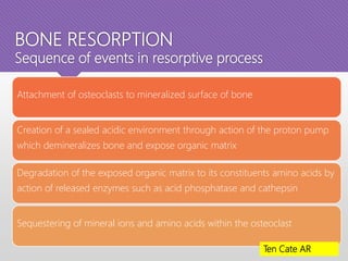 BONE RESORPTION
Sequence of events in resorptive process
Attachment of osteoclasts to mineralized surface of bone
Creation of a sealed acidic environment through action of the proton pump
which demineralizes bone and expose organic matrix
Degradation of the exposed organic matrix to its constituents amino acids by
action of released enzymes such as acid phosphatase and cathepsin
Sequestering of mineral ions and amino acids within the osteoclast
Ten Cate AR
 