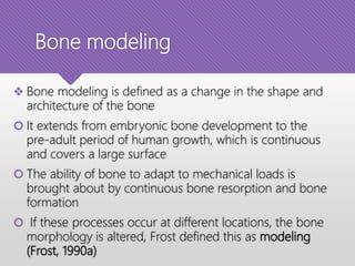 Bone modeling
 Bone modeling is defined as a change in the shape and
architecture of the bone
 It extends from embryonic bone development to the
pre-adult period of human growth, which is continuous
and covers a large surface
 The ability of bone to adapt to mechanical loads is
brought about by continuous bone resorption and bone
formation
 If these processes occur at different locations, the bone
morphology is altered, Frost defined this as modeling
(Frost, 1990a)
 