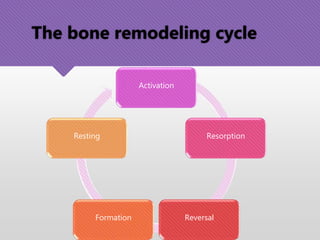 Activation
Resorption
ReversalFormation
Resting
The bone remodeling cycle
 