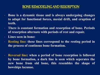 BONE REMODELING AND RESORPTION
• Bone is a dynamic tissue and is always undergoing changes
to adapt for functional forces, mesial drift, and eruption of
teeth.
• There is constant formation and resorption of bone. Periods
of resorption alternate with periods of rest and repair.
• Lines seen in bone:
• Resting line: these lines correspond to the resting period in
the process of continous bone formation.
• Reversal line: when a period of bone resorption is followed
by bone formation, a dark line is seen which seperates the
new bone from old bone, this resembles the shape of
howships lacunae.
 