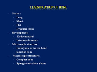 CLASSIFICATION OF BONE
• Shape :
• Long
• Short
• Flat
• Irregular bone
• Development:
• Endochondral
• Intramembranous
• Microscopic structure:
• Embryonic or woven bone
• lamellar bone
• Macroscopic structure:
• Compact bone
• Sponge (cancellous ) bone
 