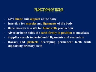 FUNCTION OF BONE
• Give shape and support of the body
• Insertion for muscles and ligaments of the body
• Bone marrow is a site for blood cells production
• Alveolar bone holds the teeth firmly in position to masticate
• Supplies vessels to periodontal ligaments and cementum
• Houses and protects developing permanent teeth while
supporting primary teeth
 