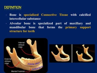 Alveolar Bone