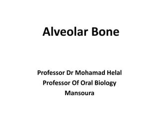 Alveolar Bone
Professor Dr Mohamad Helal
Professor Of Oral Biology
Mansoura
 