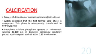 CALCIFICATION
 Process of deposition of insoluble calcium salts in a tissue
 Widely conceded that the first formed solid phase is
amorphous. This phase is subsequently transformed to
hydroxyapatite
Amorphous calcium phosphate appears as microscopic
spheres 30-100 nm in diameter, comprising randomly
packed apatite crystals each of about 0.95 nm diameter
 