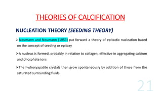 THEORIES OF CALCIFICATION
NUCLEATION THEORY (SEEDING THEORY)
 Neumann and Neumann (1953) put forward a theory of epitactic nucleation based
on the concept of seeding or epitaxy
A nucleus is formed, probably in relation to collagen, effective in aggregating calcium
and phosphate ions
The hydroxyapatite crystals then grow spontaneously by addition of these from the
saturated surrounding fluids
 