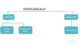 HISTOLOGICALLY
MATURE IMMATURE
WOVEN BONE
CANCELLOUS
BONE
SPONGY
BONE
 