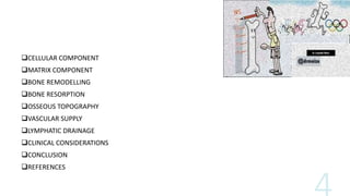 CELLULAR COMPONENT
MATRIX COMPONENT
BONE REMODELLING
BONE RESORPTION
OSSEOUS TOPOGRAPHY
VASCULAR SUPPLY
LYMPHATIC DRAINAGE
CLINICAL CONSIDERATIONS
CONCLUSION
REFERENCES
 