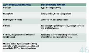 2/3RD INORGANIC MATRIX 1/3rd ORGANIC MATRIX
Calcium Type I collagen(90%)
Phosphate Osteopontin , bone sialoprotein
Hydroxyl carbonate Osteocalcin and osteonectin
Citrate Bone morphogenetic protein, phosphoprotein
and proteoglycans
Sodium, magnesium and fluorine
ions(traces)
Paracrine factors including cytokines,
chemokines and growth factors.
Mineral salts –hydroxyapatite(60%)
crystals of ultramicroscopic size and
constitute 2/3rd of bone structure.
 